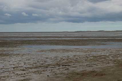 The Broomway